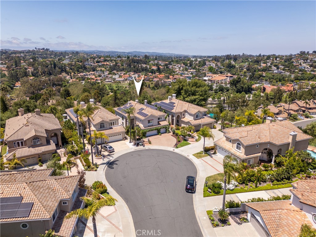 Parisa Houshangi | Real Estate Agent in Laguna Niguel, CA (2)