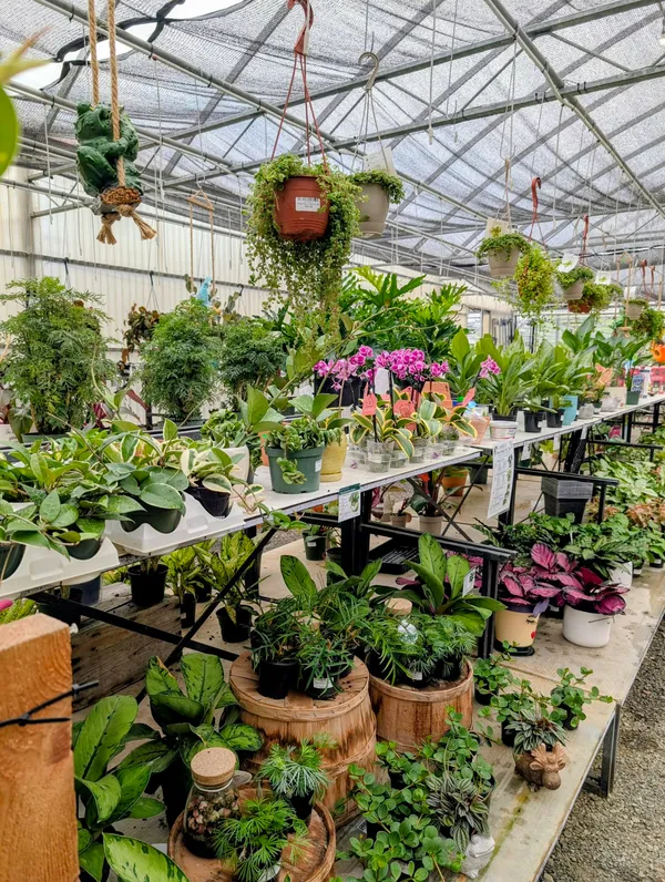 Hanzely's Garden Center in DuBois, PA (5)