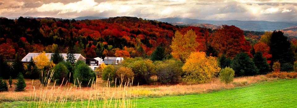 KP Premier Realty in Oregon, OH (2)