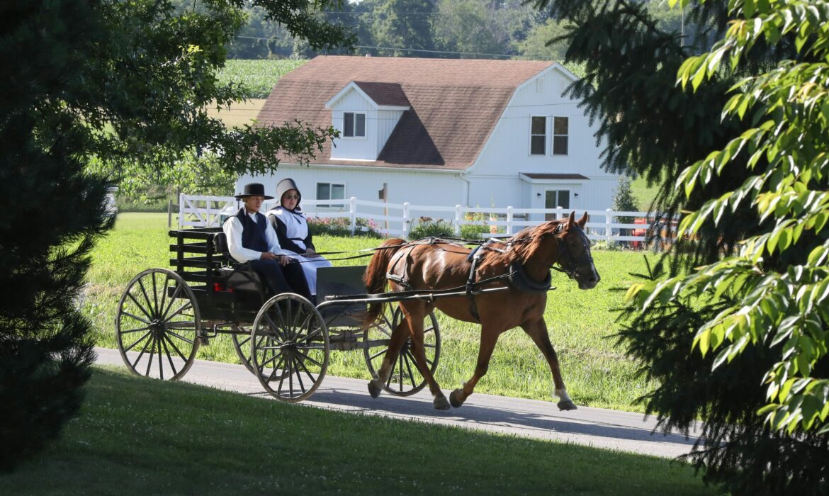 Shisler's Cheese House in Orrville, OH (6)