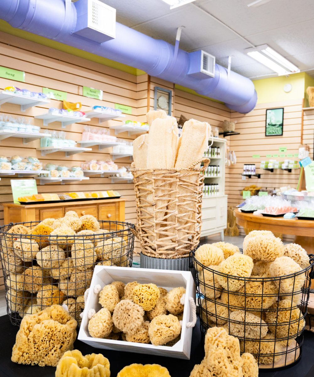 Lori's Soap and Sponge market in Madeira Beach, FL (4)