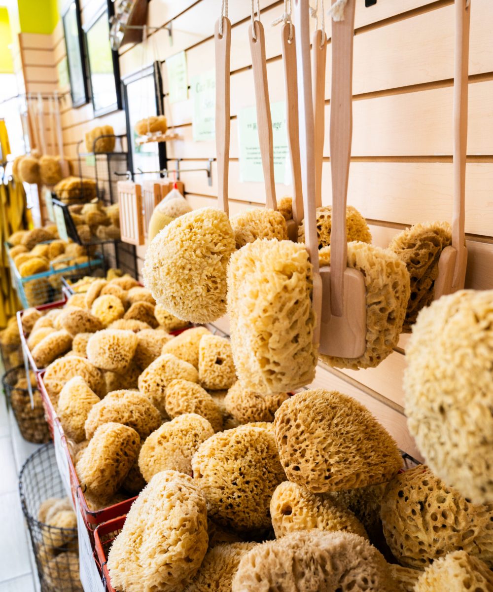 Lori's Soap and Sponge market in Madeira Beach, FL (6)