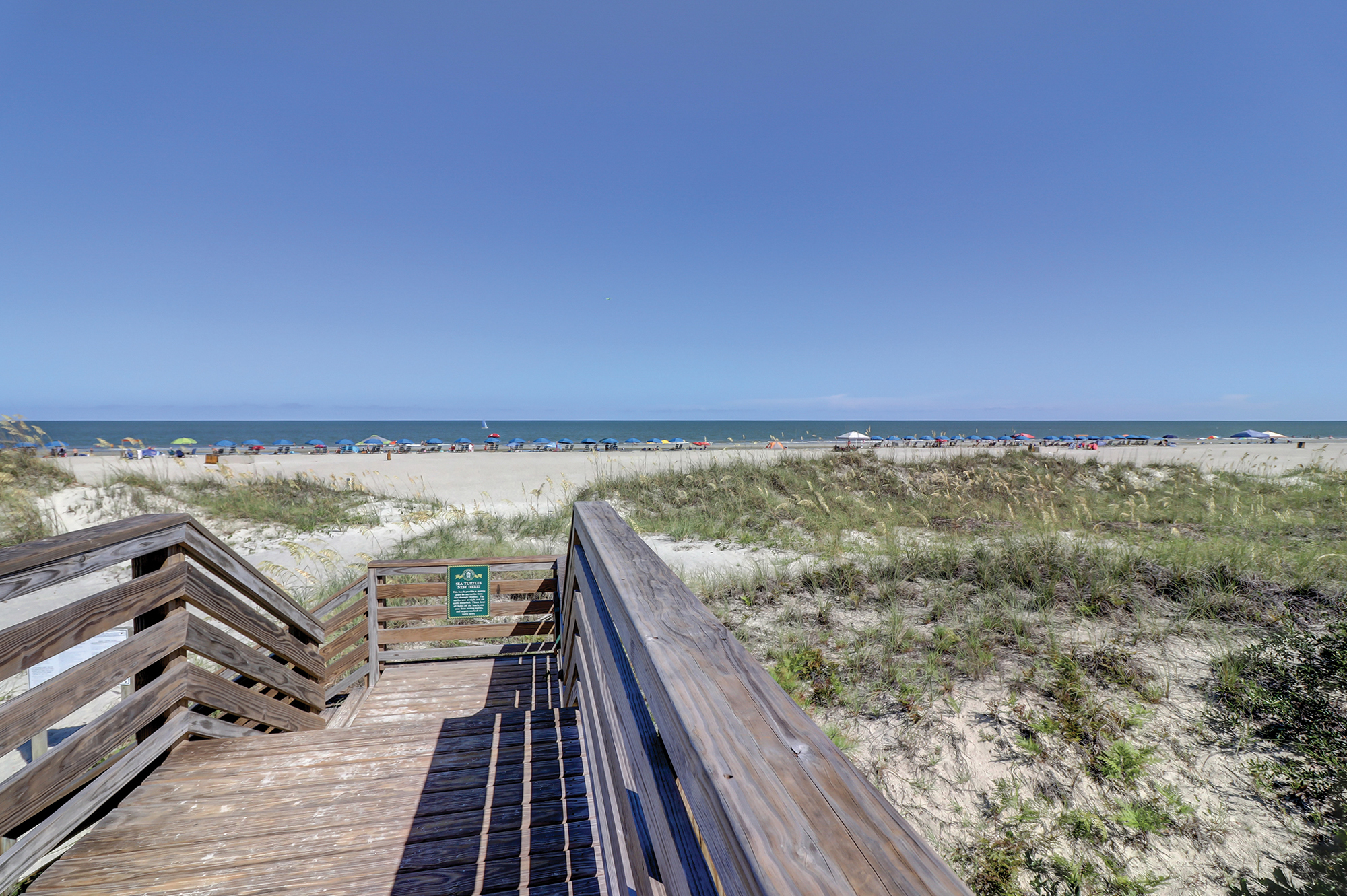 Joshua Ward - Charter One Realty in Beaufort, SC (2)