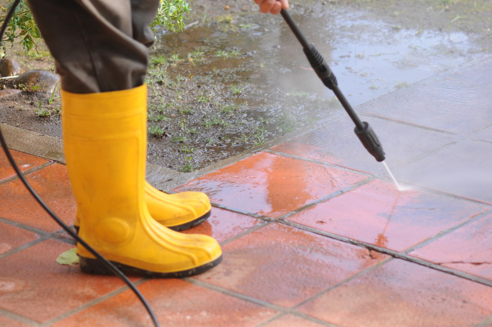 Roxanne's Cleaning Solutions in Rowlett, TX (4)