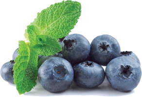 Echo Springs Blueberry Farm in Murchison, TX (2)