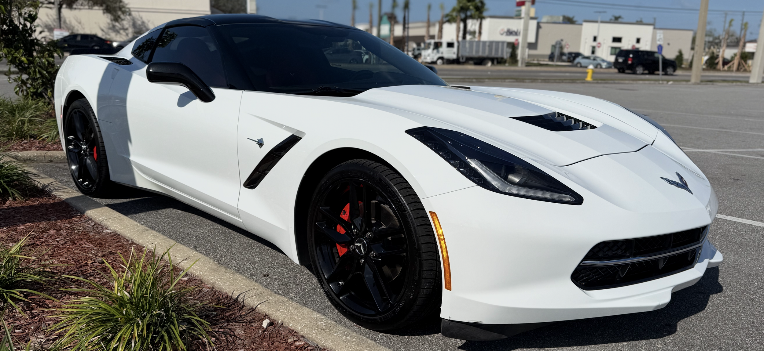 Doug's Detailing LLC in Largo, FL (2)