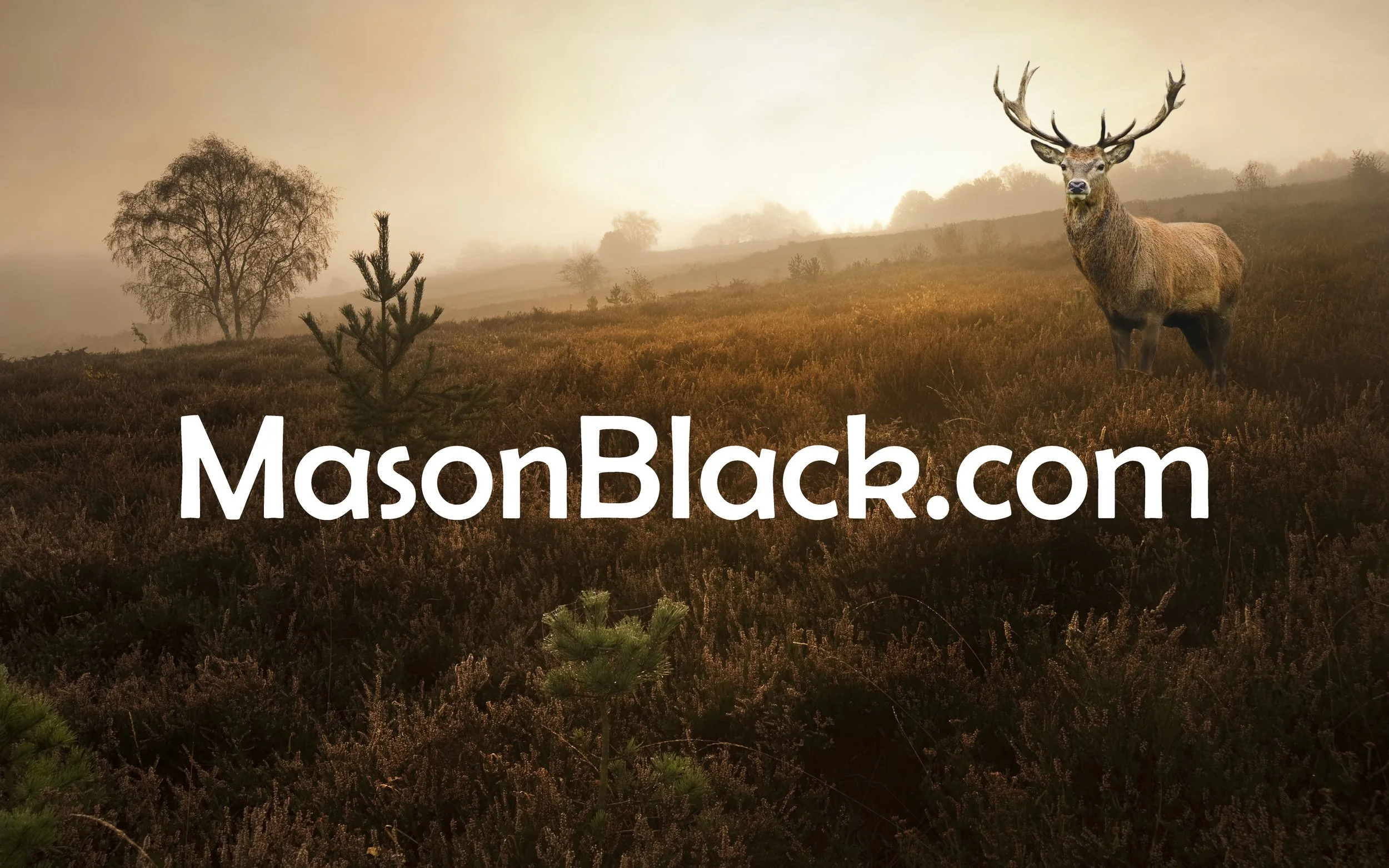 Mason Black Commercial - Investment Real Estate in San Jose, CA