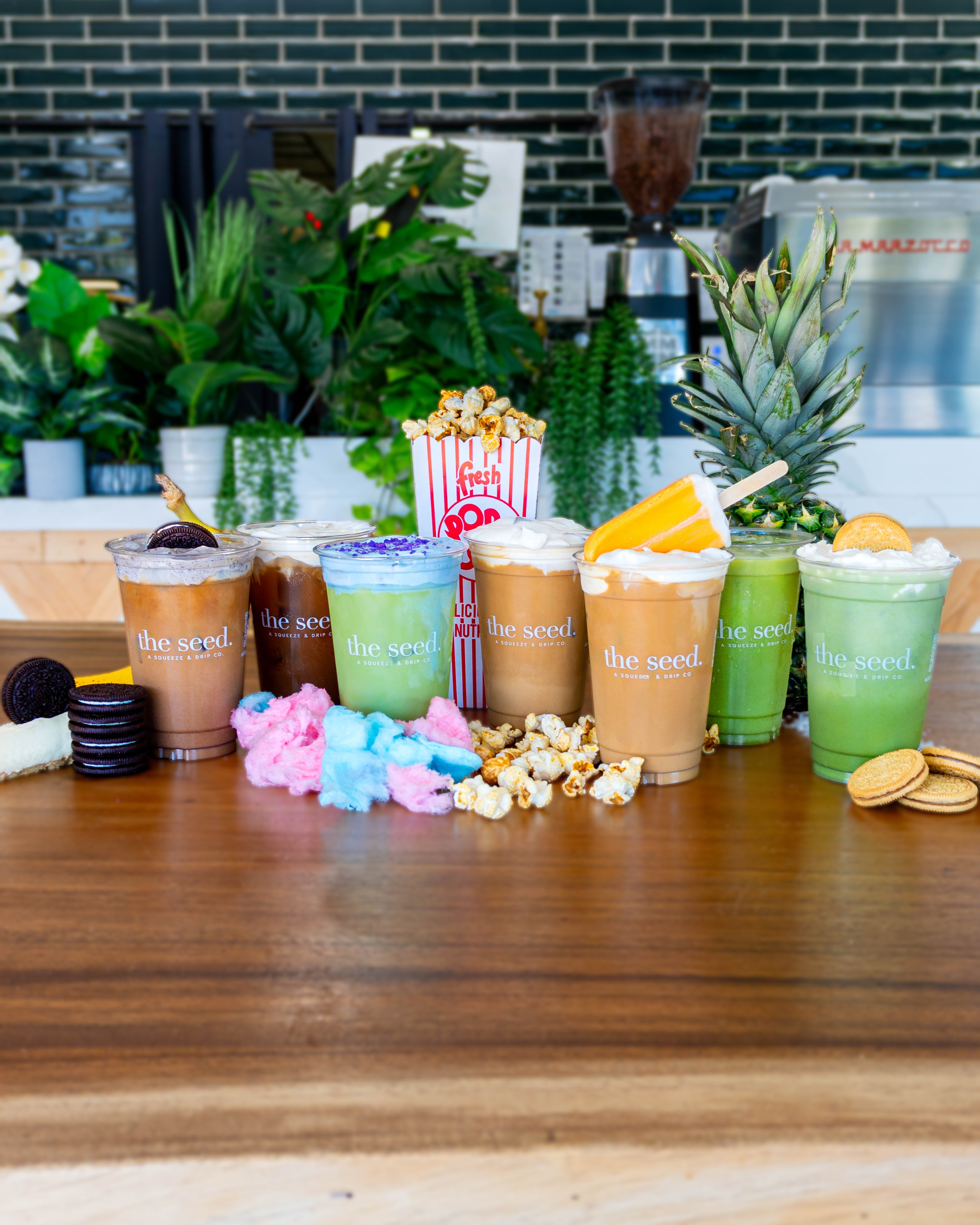 the seed. Coffee + Juice Bar in Lighthouse Point, FL (6)