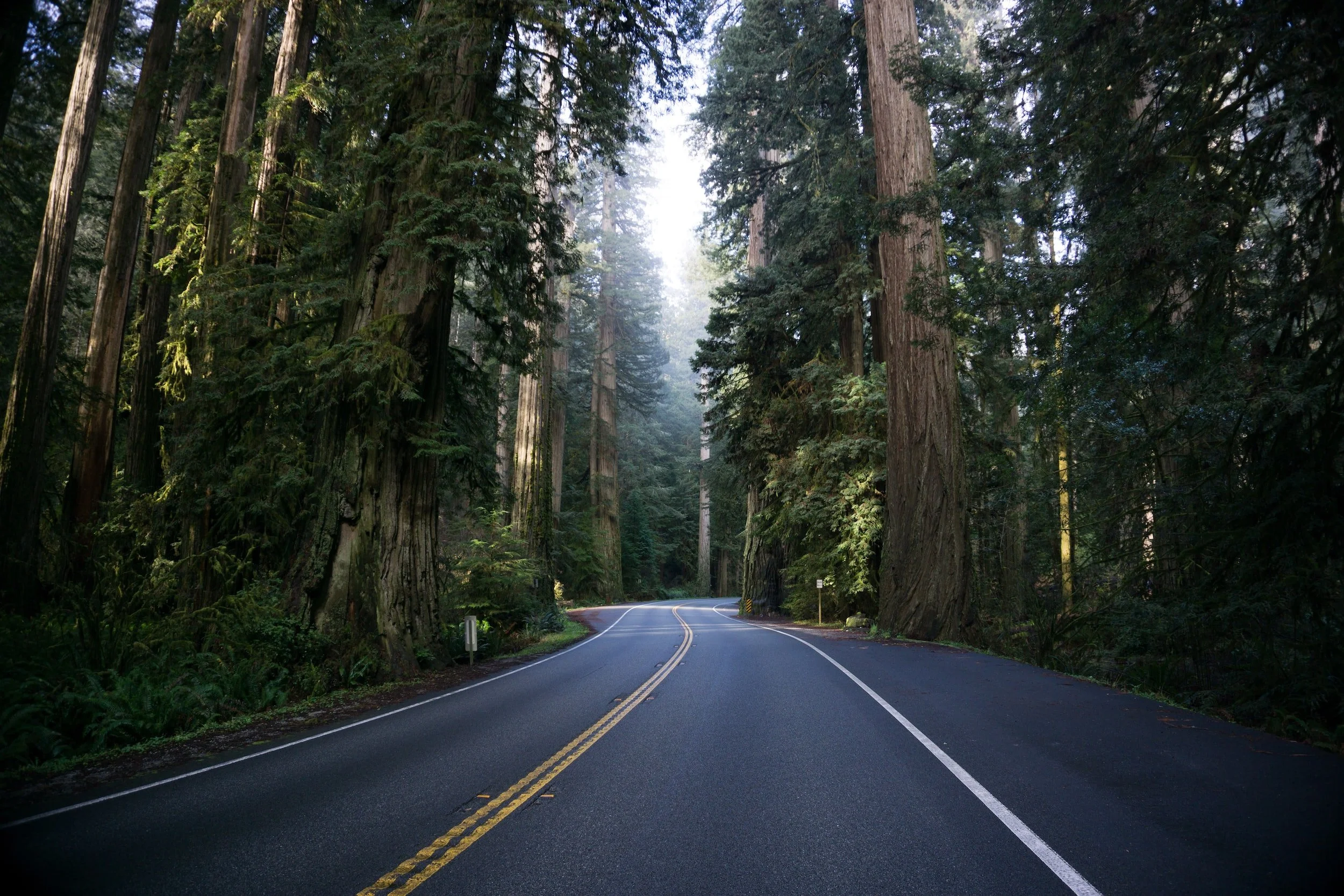 Pacific Coast Injury Lawyer, APC in Capitola, CA (2)