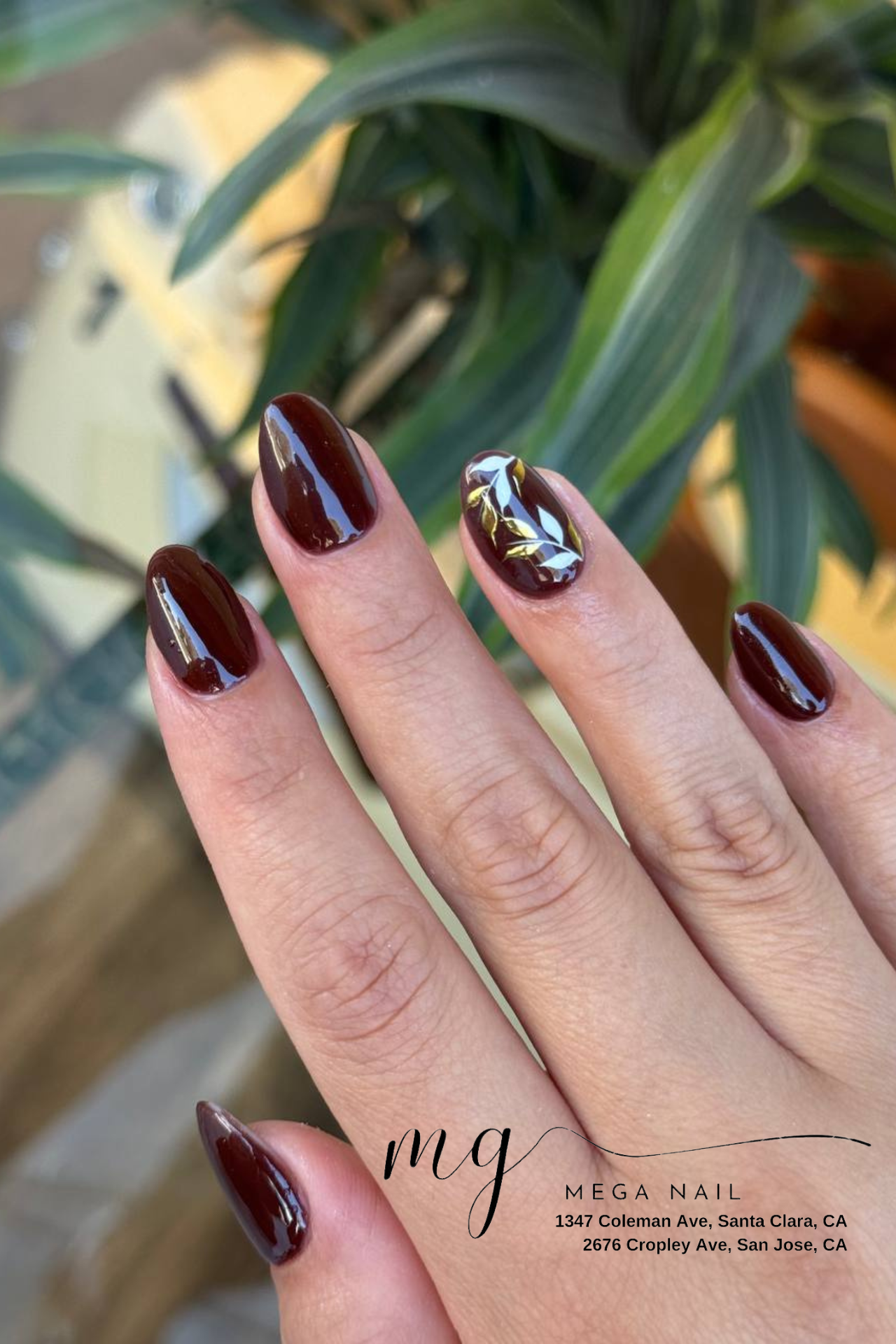 Mega Nail Bar in Santa Clara, CA (6)