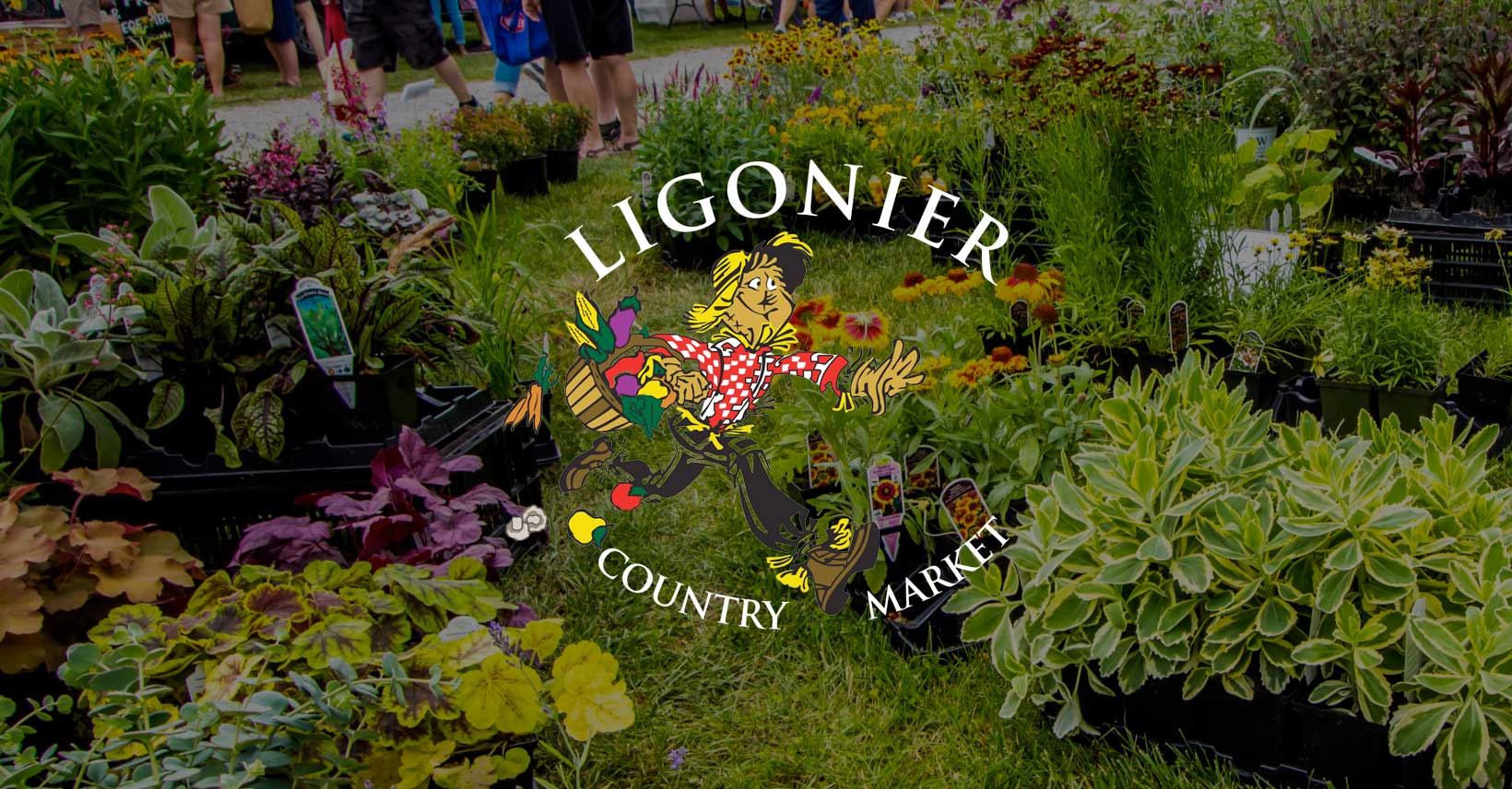 Ligonier Country Market in Latrobe, PA