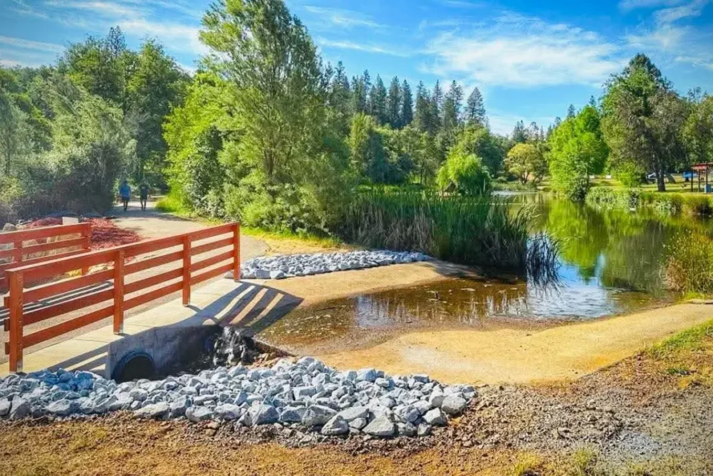 Alexandra Hastings Homes in Applegate, CA (4)