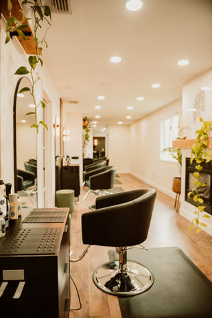 Mane Haven Salon in Allentown, PA (4)