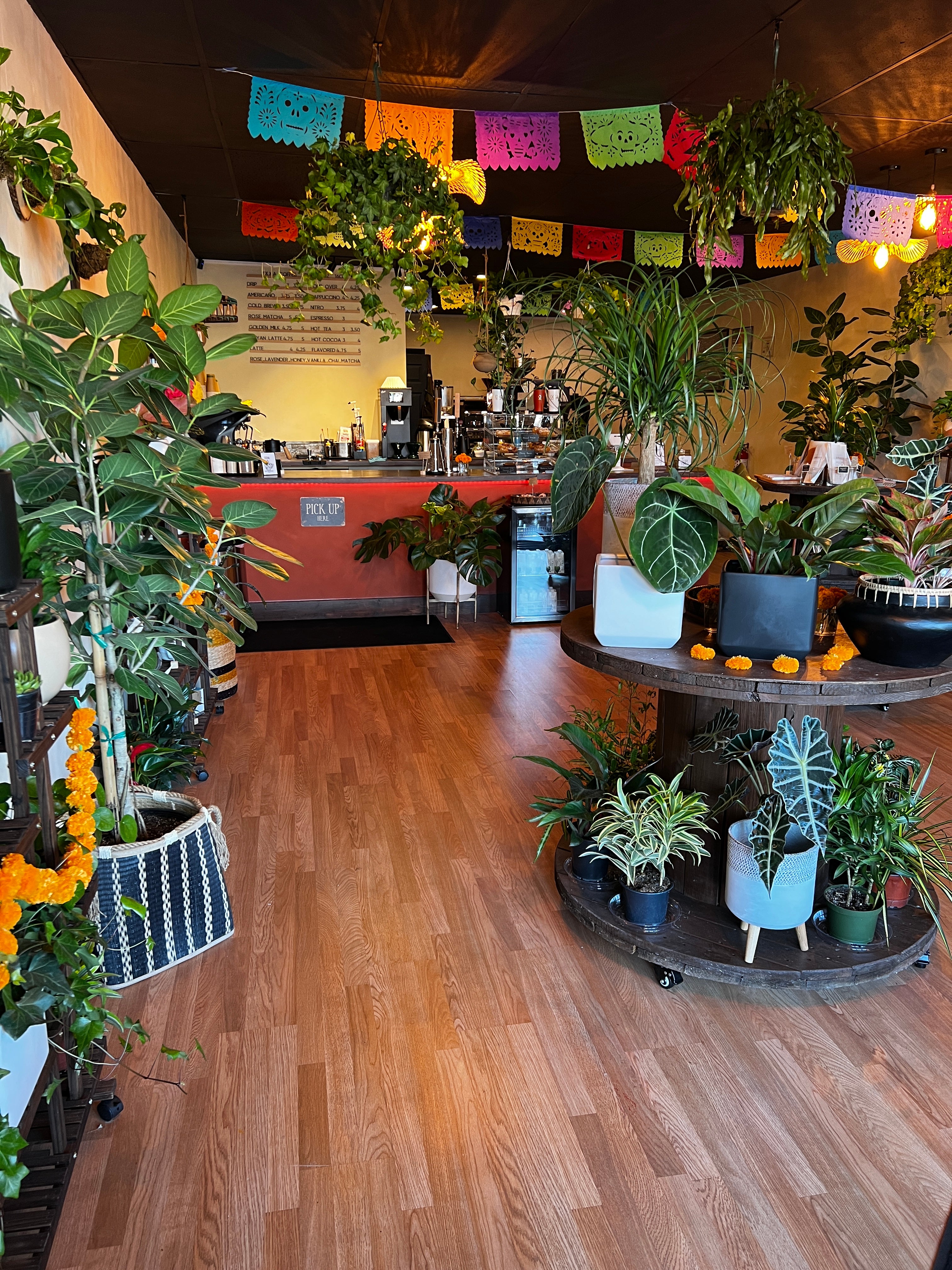 Ixxa Coffee Roasters in Whiting, IN (2)