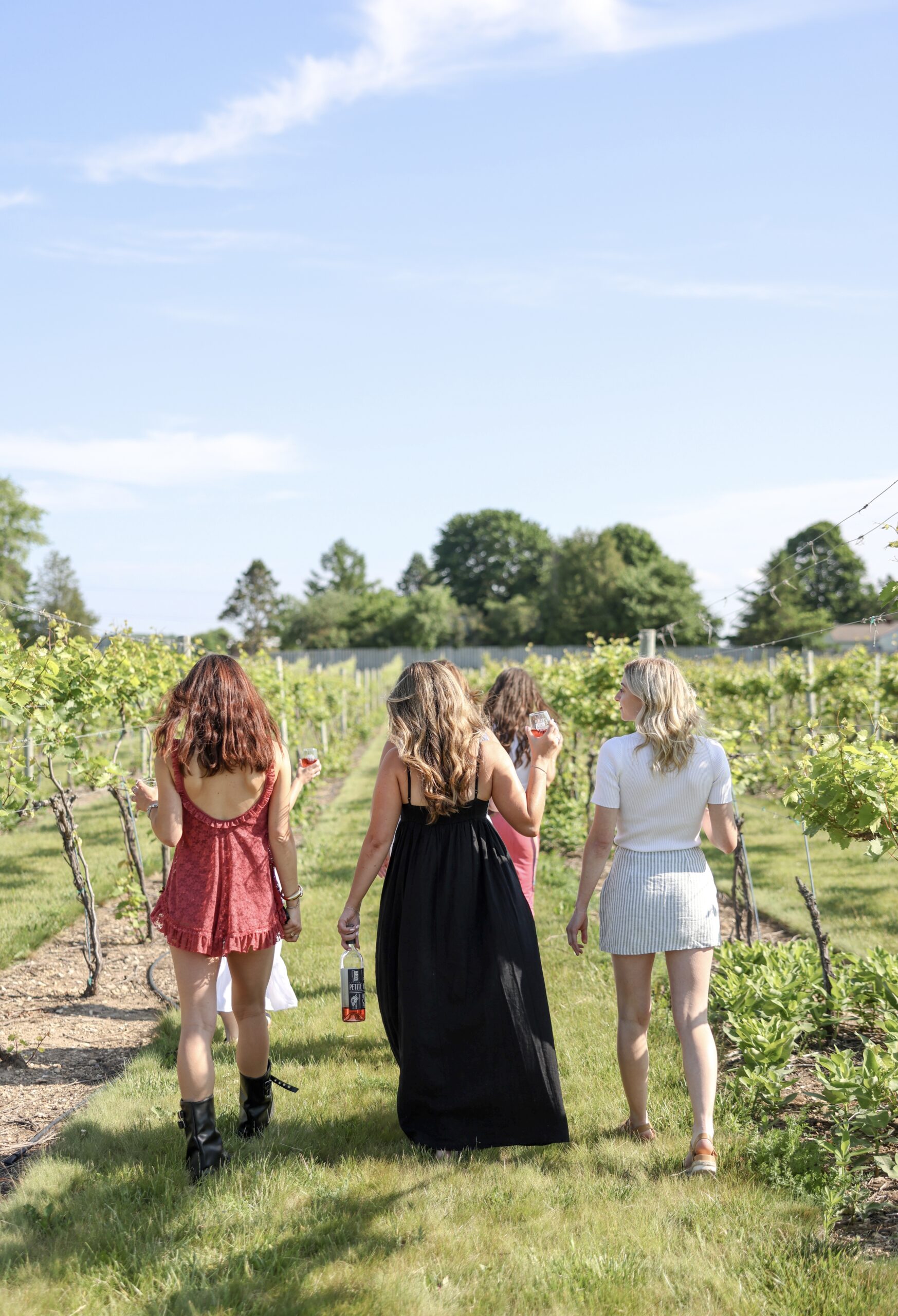 Parallel 44 Vineyard & Winery - Relocated to Sturgeon Bay in Kewaunee, WI (2)
