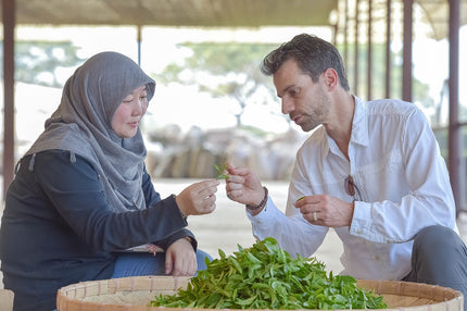 TEEMA TEAS: Direct-Trade, Single-Origin, Organic teas from a Woman-Owned plantation in Kyle, TX (3)