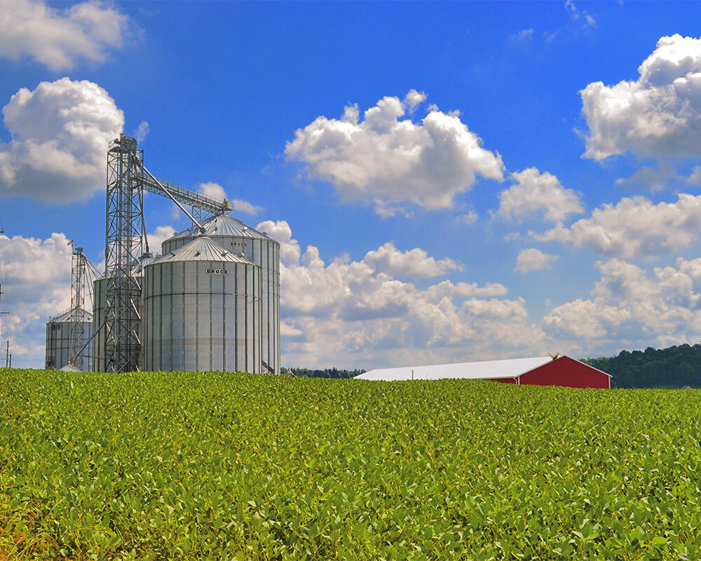 Grind Realty LLC in Ellwood City, PA (6)