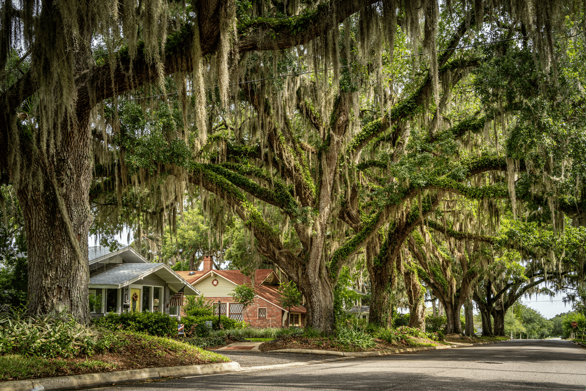 Winter Garden Real Estate and Property Management in Winter Garden, FL (3)