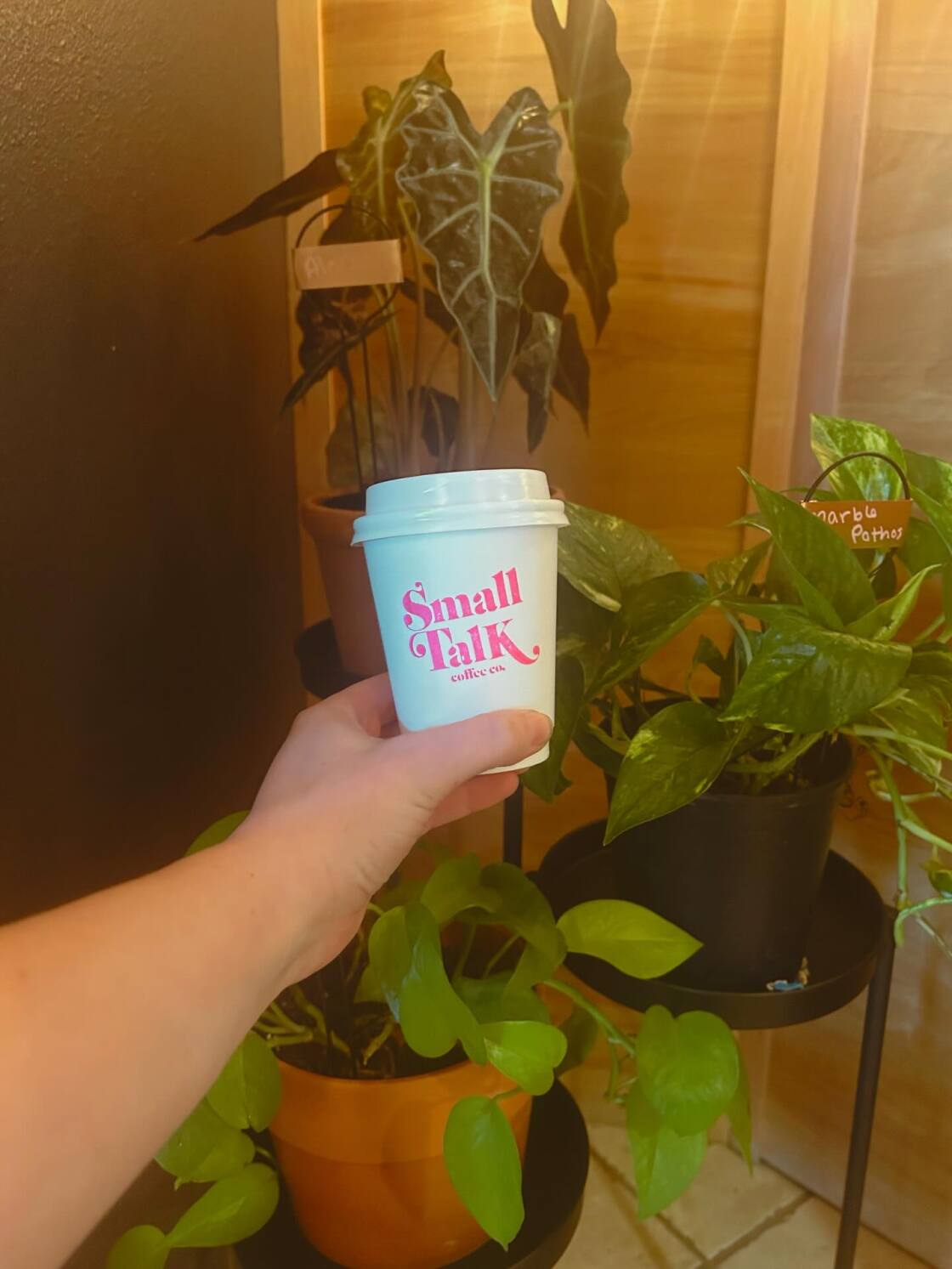Small Talk Coffee Company in Amarillo, TX (2)