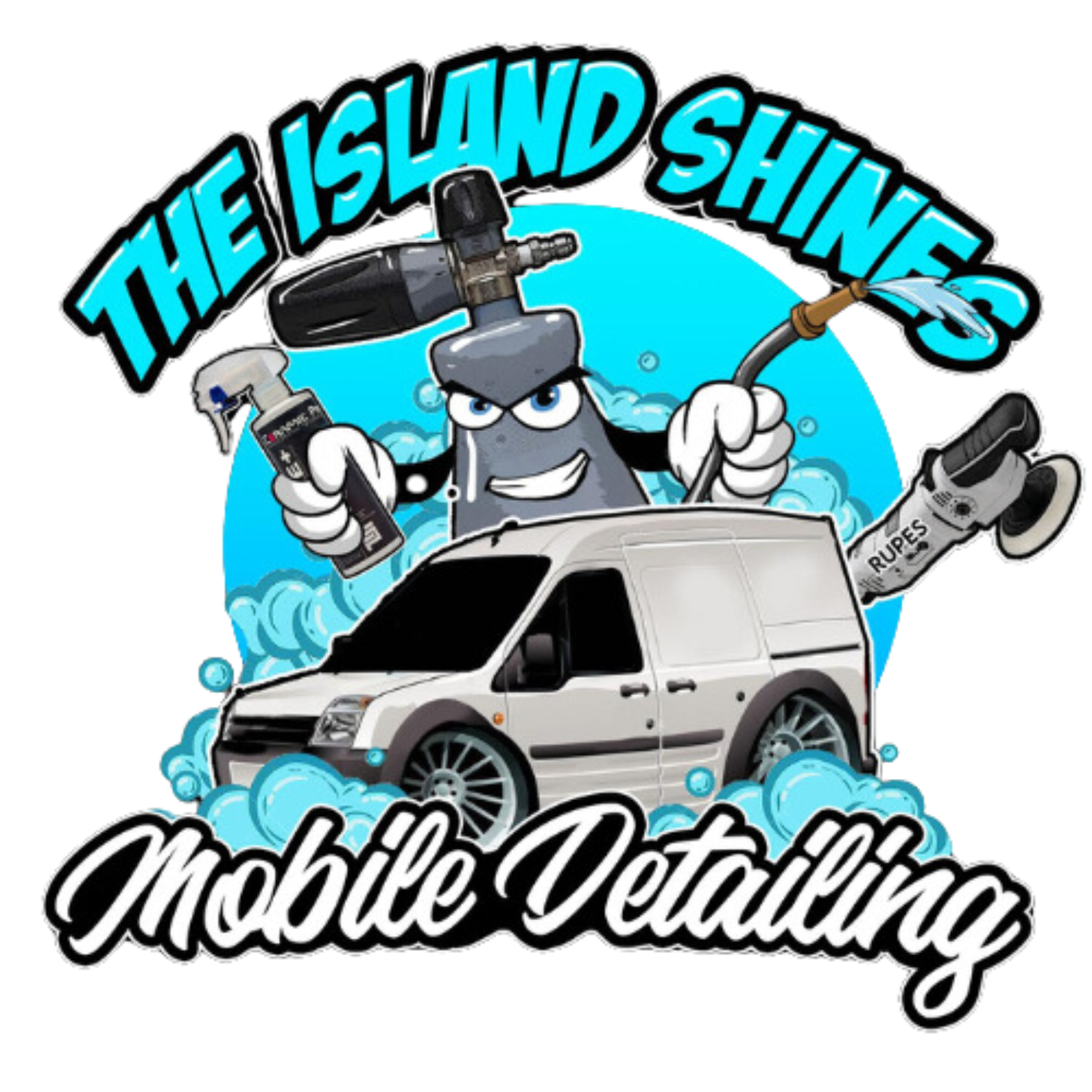 The Island Shines Mobile Detailing in St. Petersburg, FL (3)