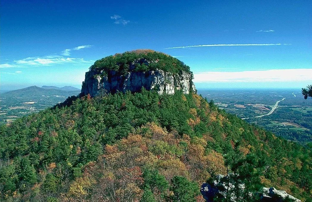 Black Dog Acres RV Park in Pilot Mountain, NC (3)