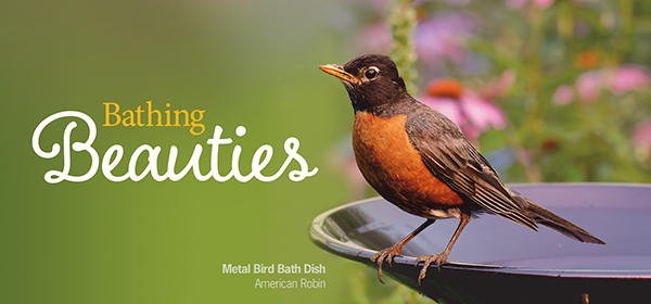 Wild Birds Unlimited in Woodhaven, MI