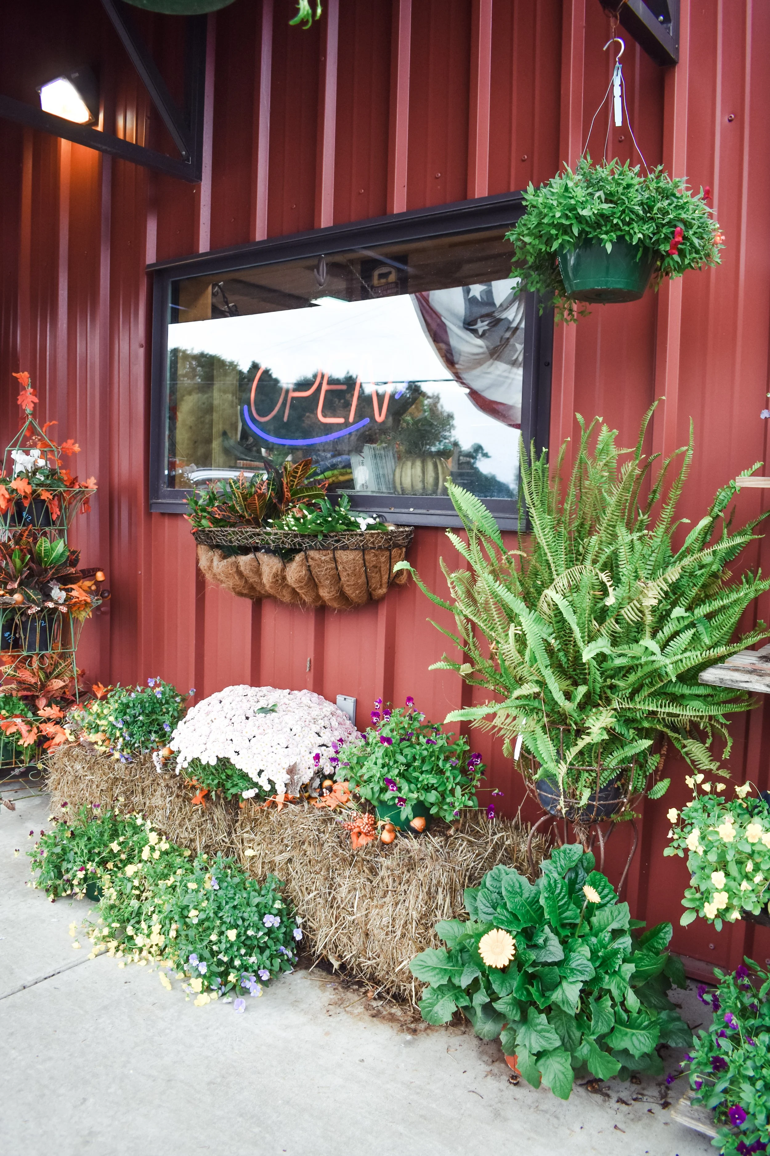 Harris Kuntry Meats & Grocery in Hawkinsville, GA (2)