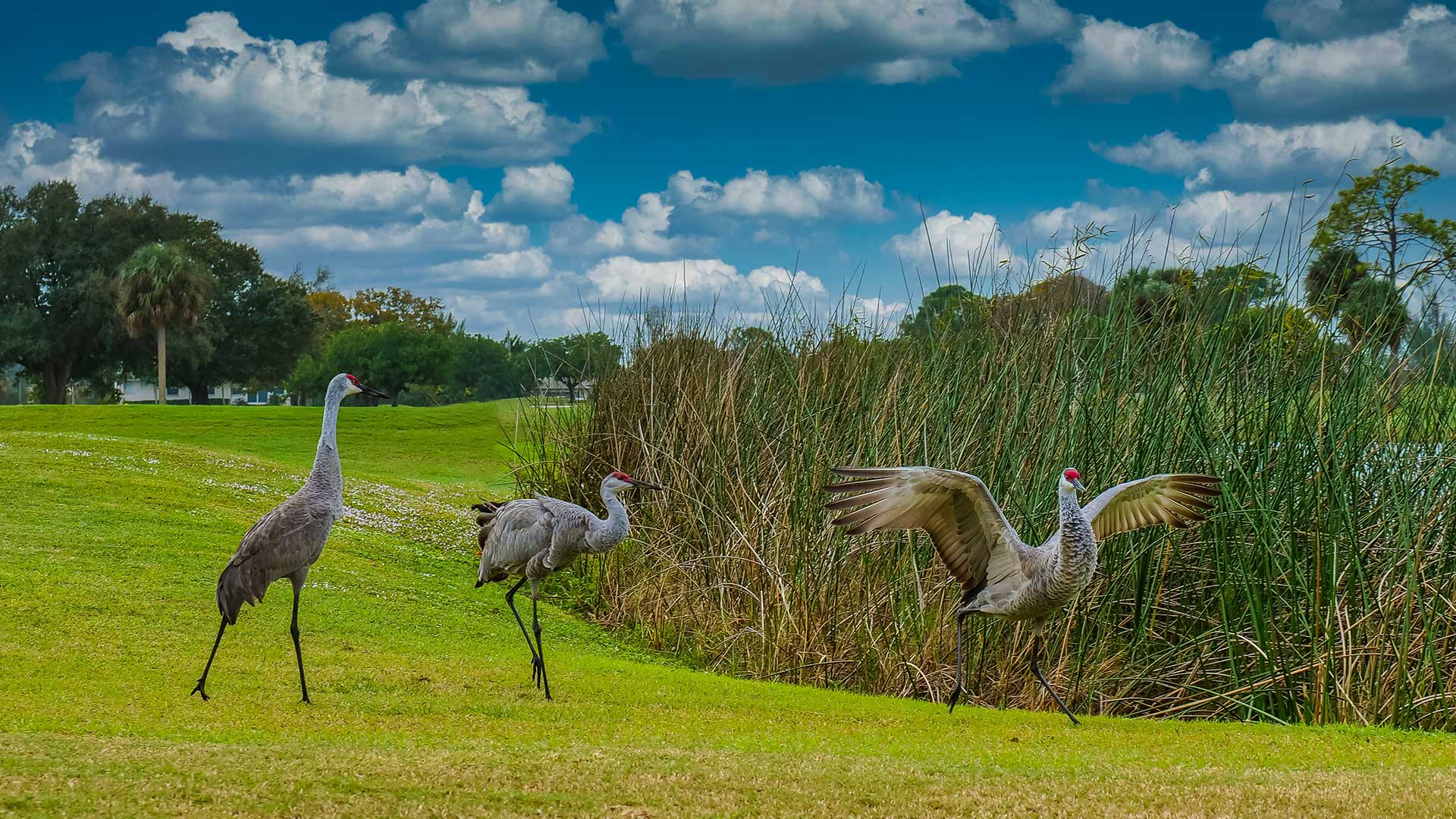 Campus To Coast Realty, LLC in Gainesville, FL (3)