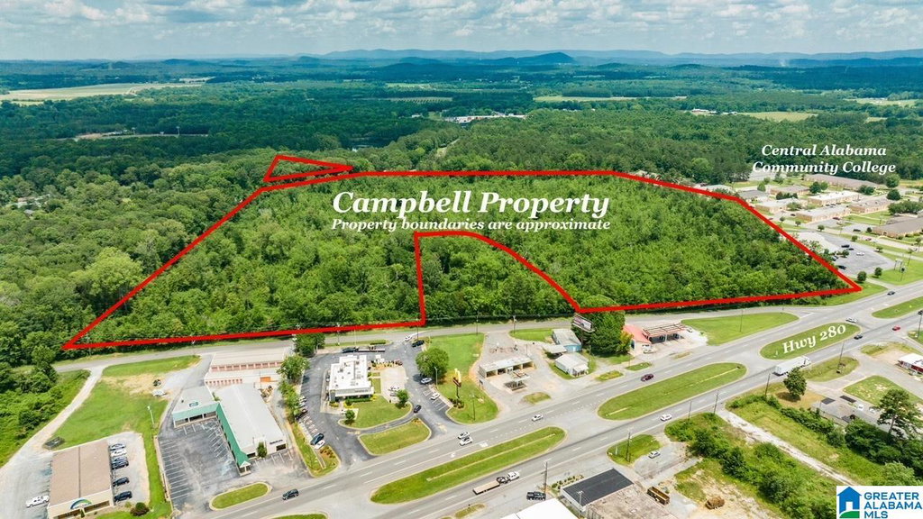 Saige Young, Real Estate in Vestavia Hills, AL (2)