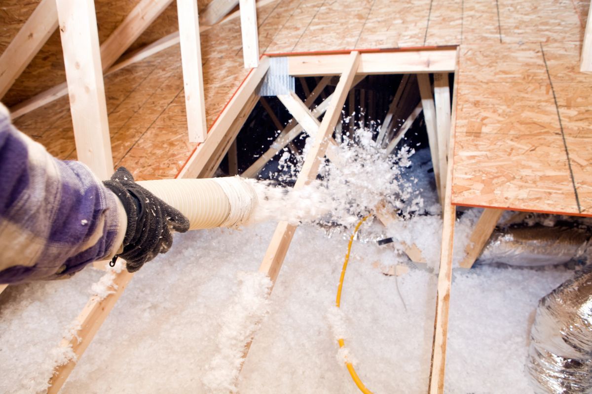 It’s Bugs Or Us Pest Control - Weatherford in Weatherford, TX (5)