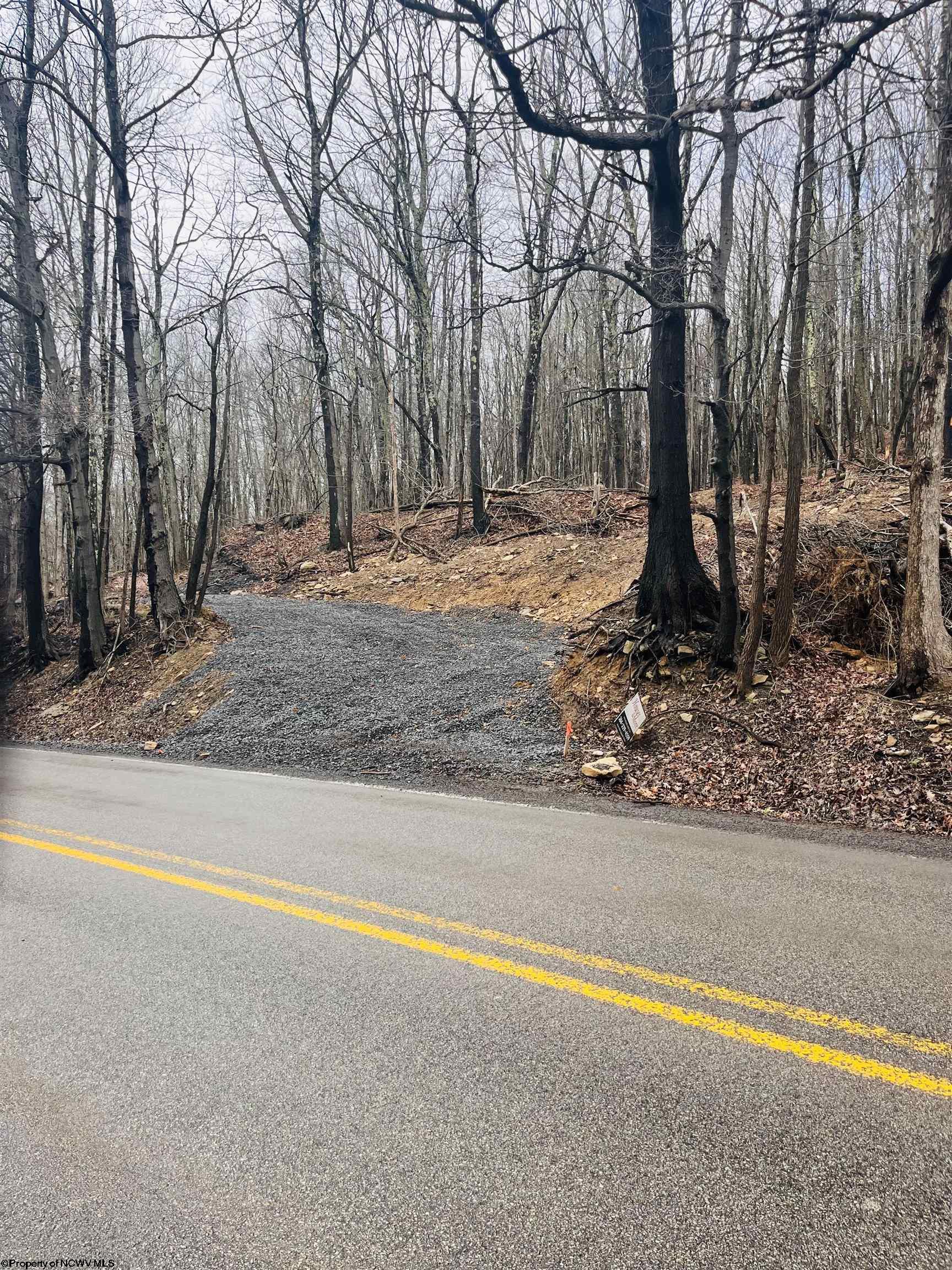 Houses & More Real Estate in Kingwood, WV (2)