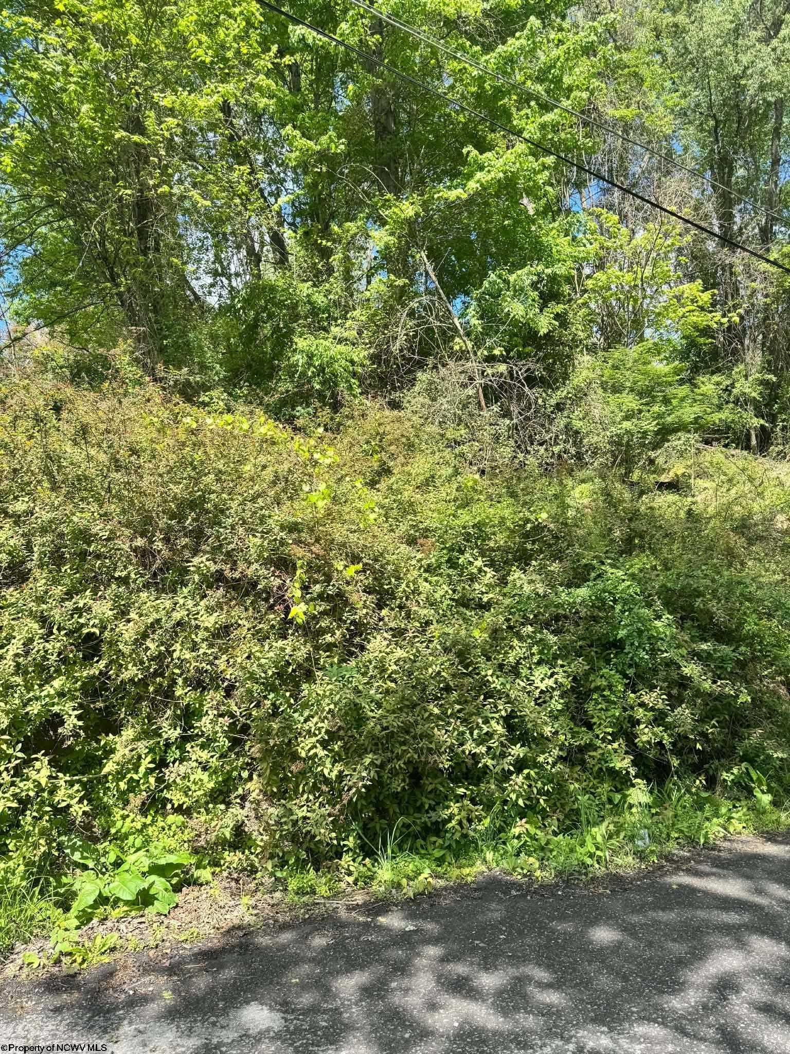 Houses & More Real Estate in Kingwood, WV (4)