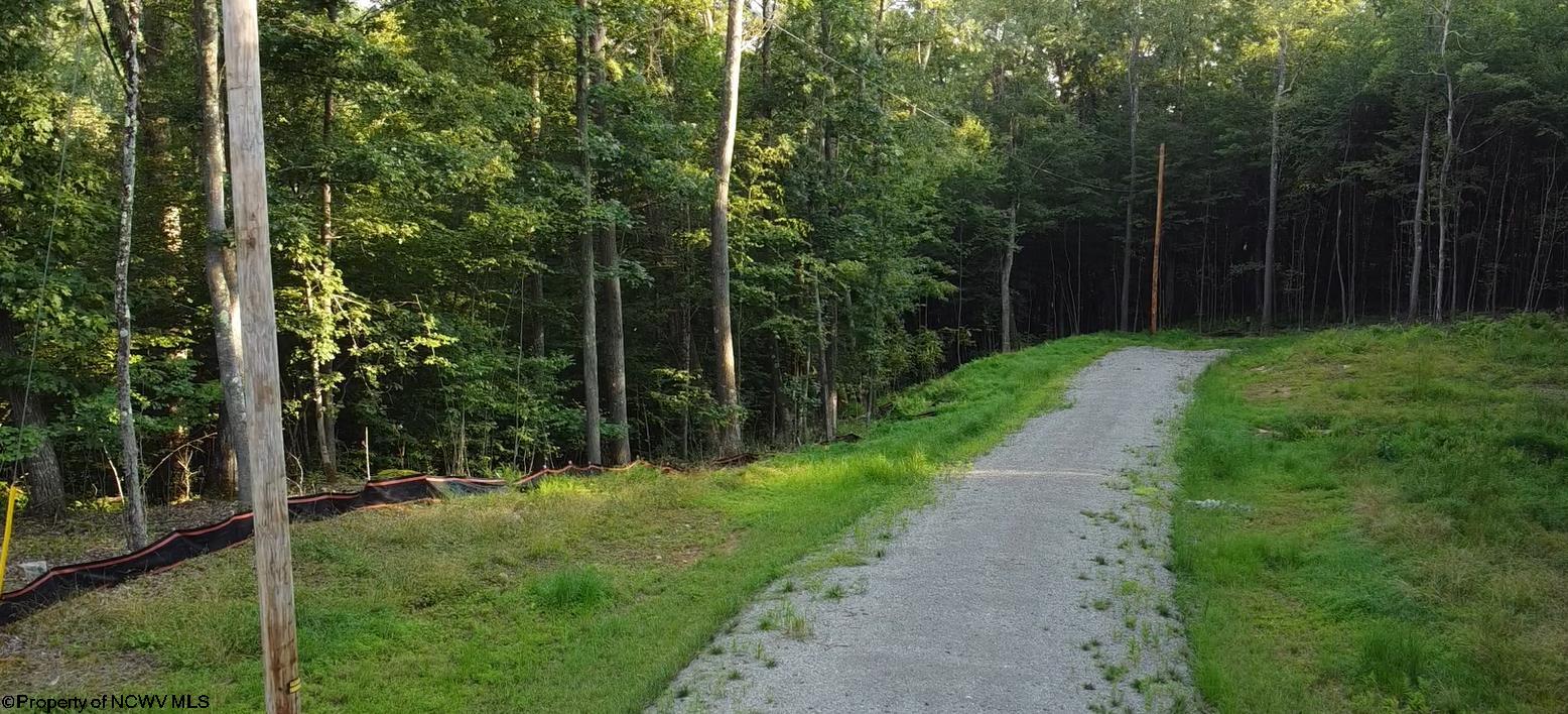 Houses & More Real Estate in Kingwood, WV (5)