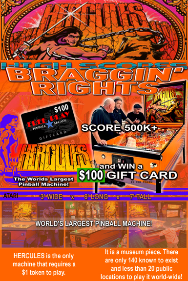 Free Play Pinball Arcade in Fraser, MI