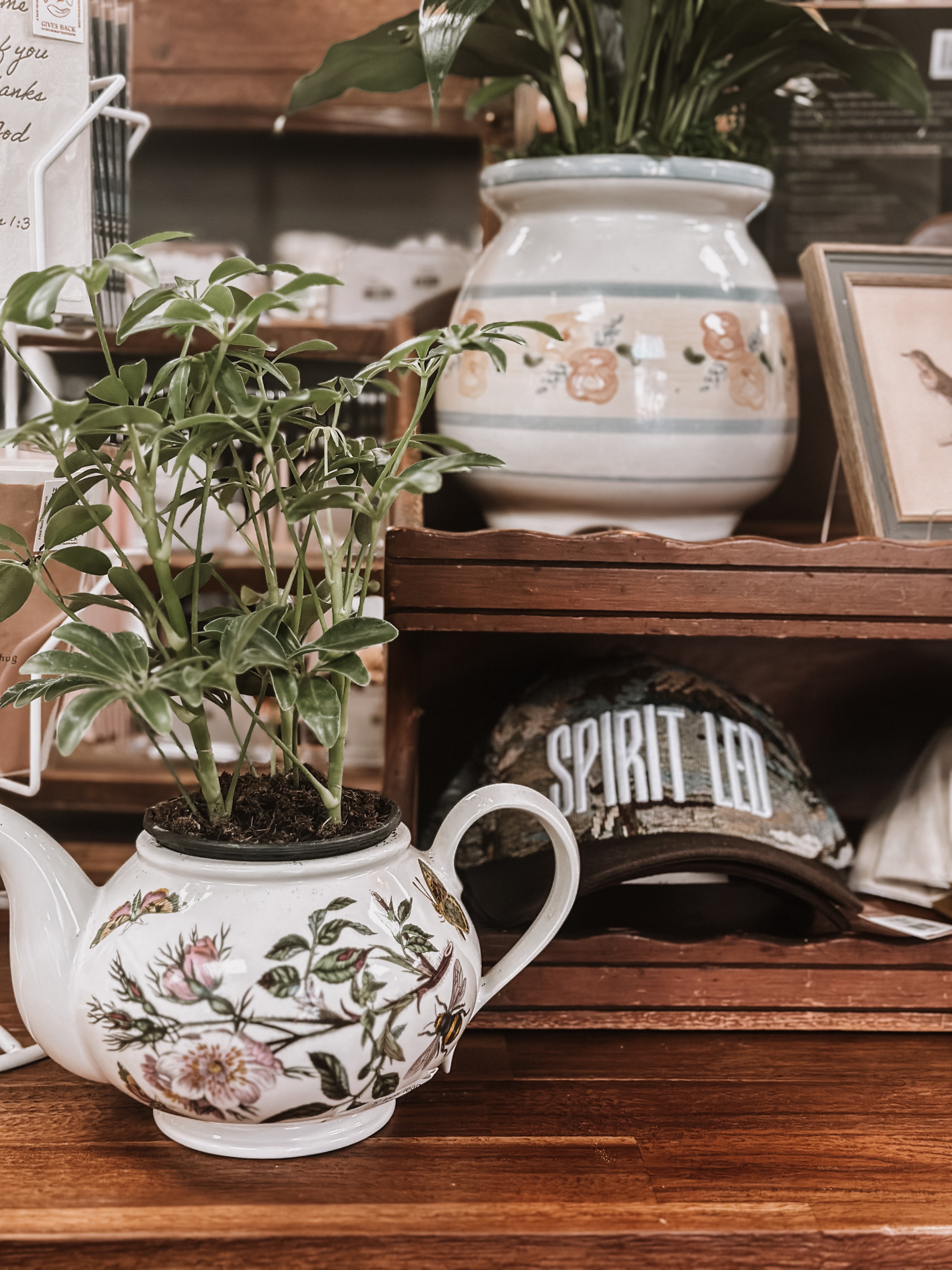Simply Blessed Boutique in La Grange, KY (3)