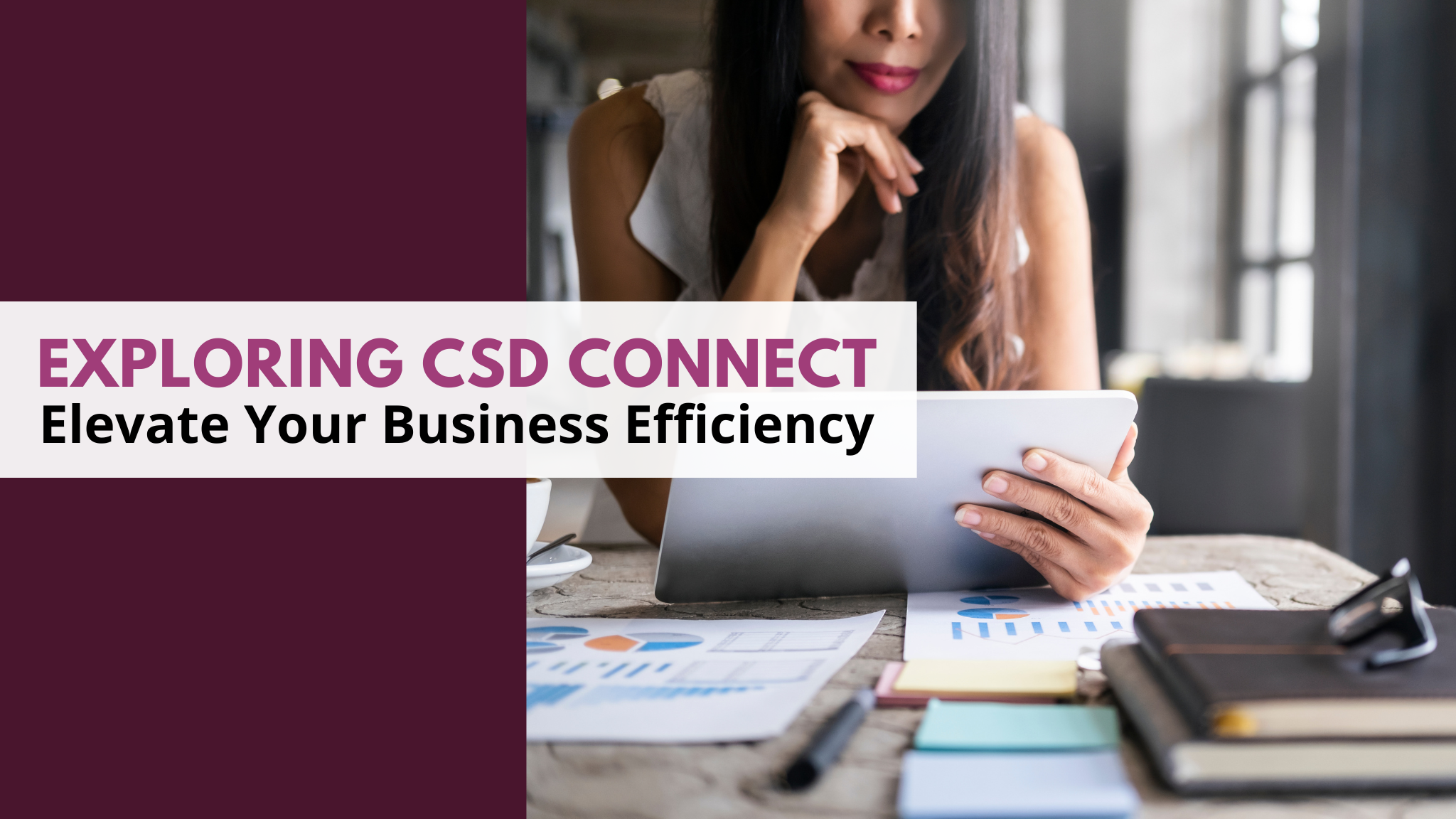 CSD Marketing and Consulting in La Mesa, CA (4)