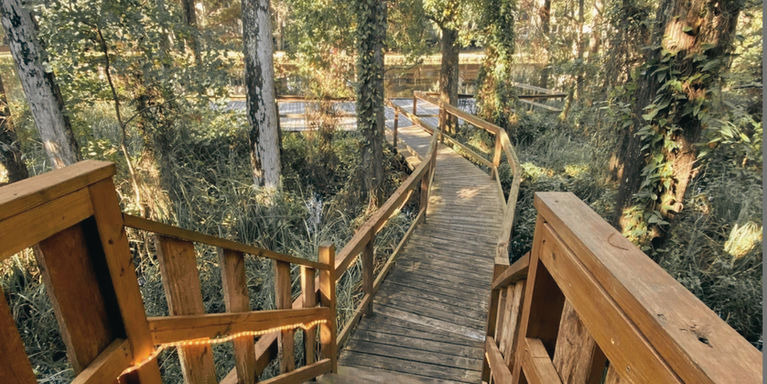 Palmettos On The Bayou in Slidell, LA (4)