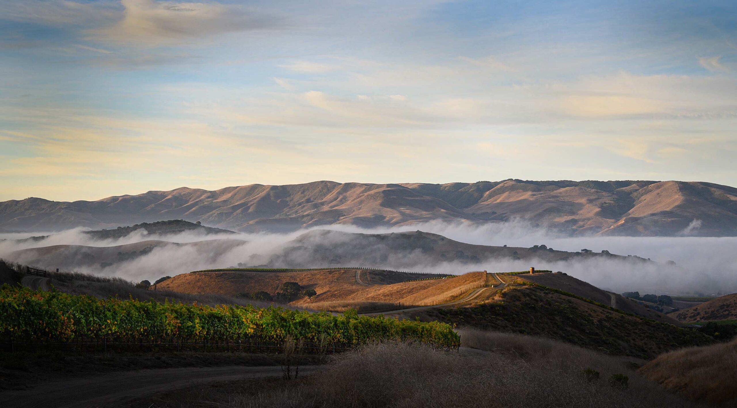 Dragonette Cellars in Buellton, CA (5)