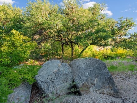 Michelle Reed, Broker Associate - Trinity Country Real Estate in Weatherford, TX (5)
