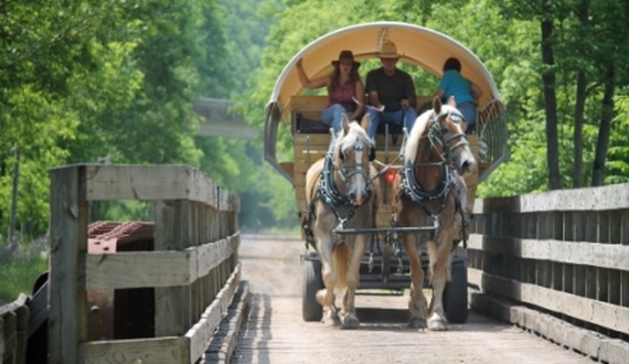 Visit Potter-Tioga Visitors Bureau in Wellsboro, PA (5)