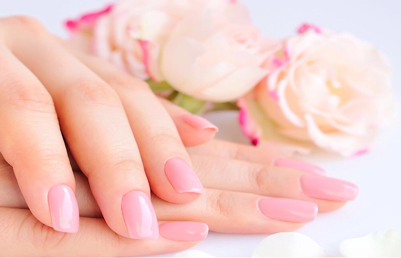 Orchid Nails & Spa St. Pete in St. Petersburg, FL (3)