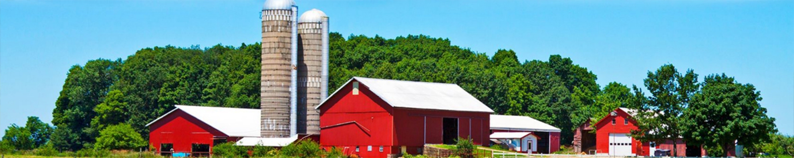Williamson & Siler, S.C. in New Richmond, WI (3)