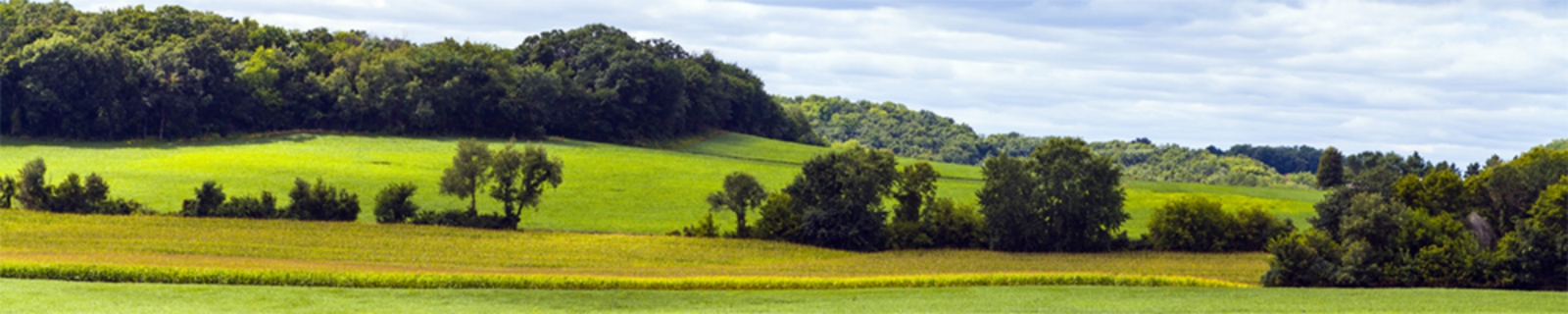 Williamson & Siler, S.C. in New Richmond, WI (4)