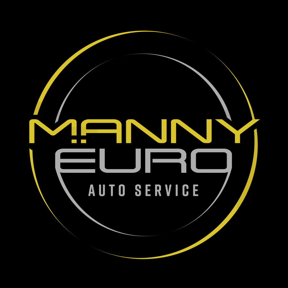 Manny Euro Auto Service in Ocoee, FL (5)