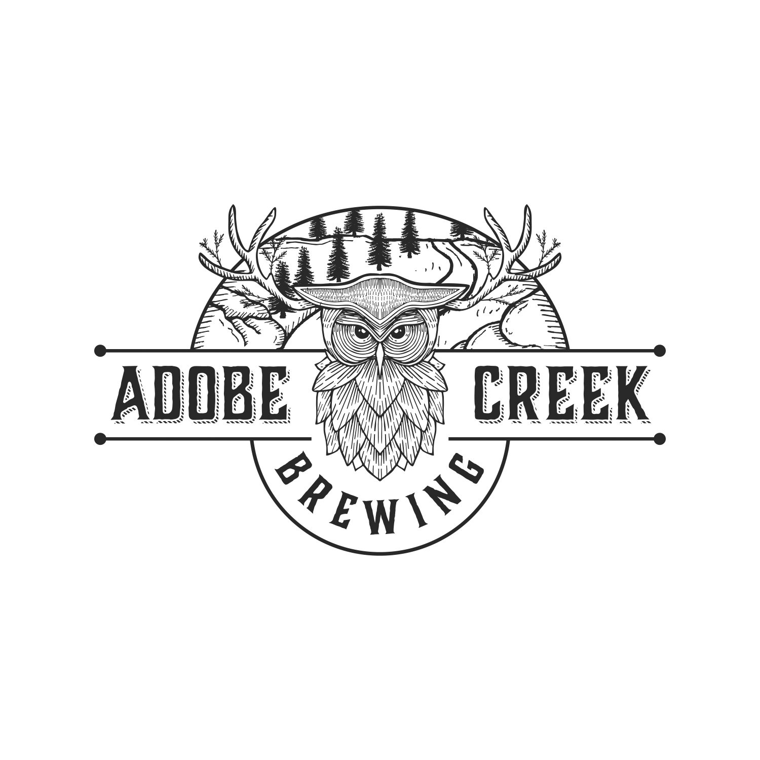 Adobe Creek Brewing in Novato, CA (5)