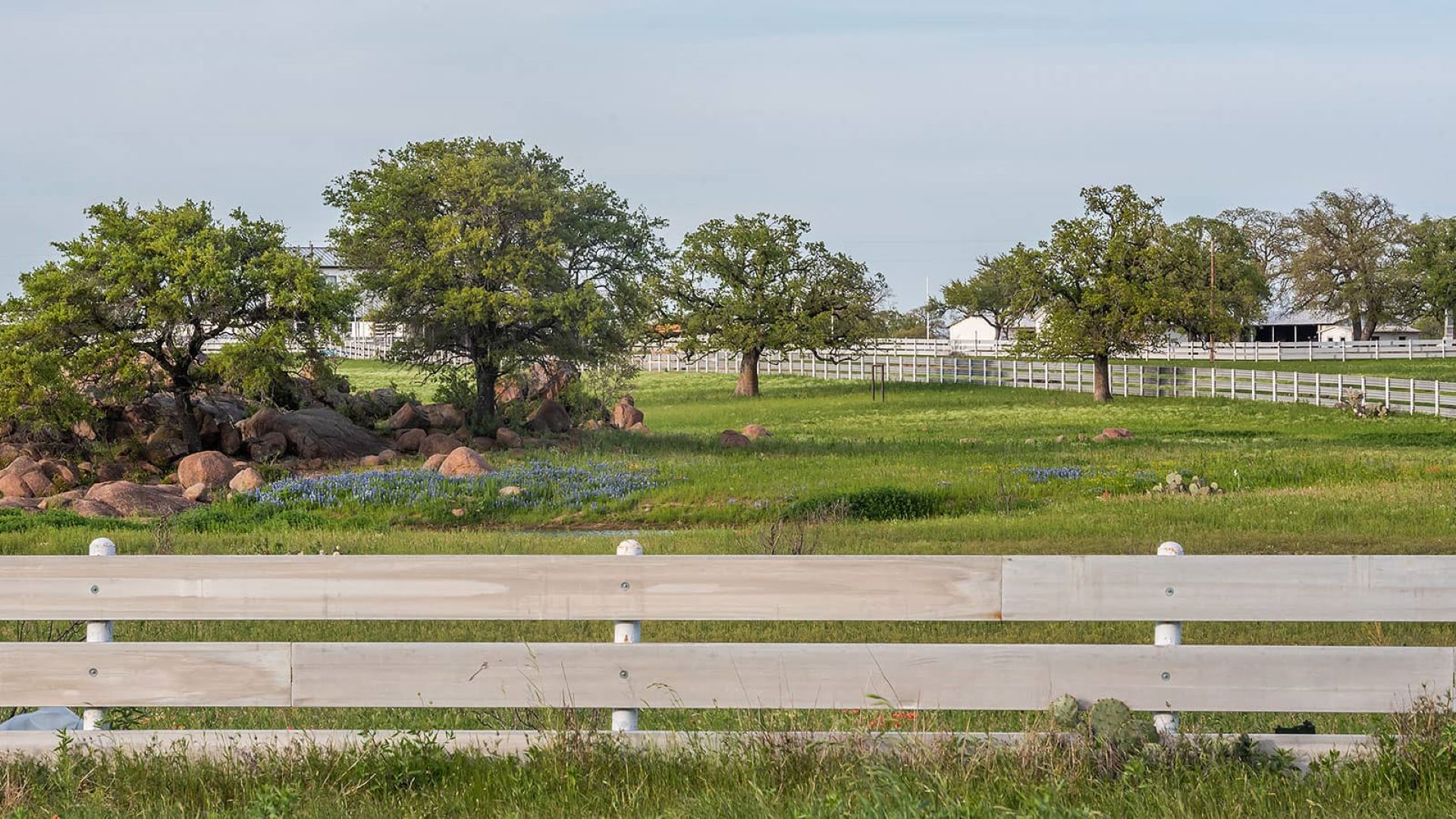 Tami Baker - Blue Line Realty, LLC in Liberty Hill, TX (4)