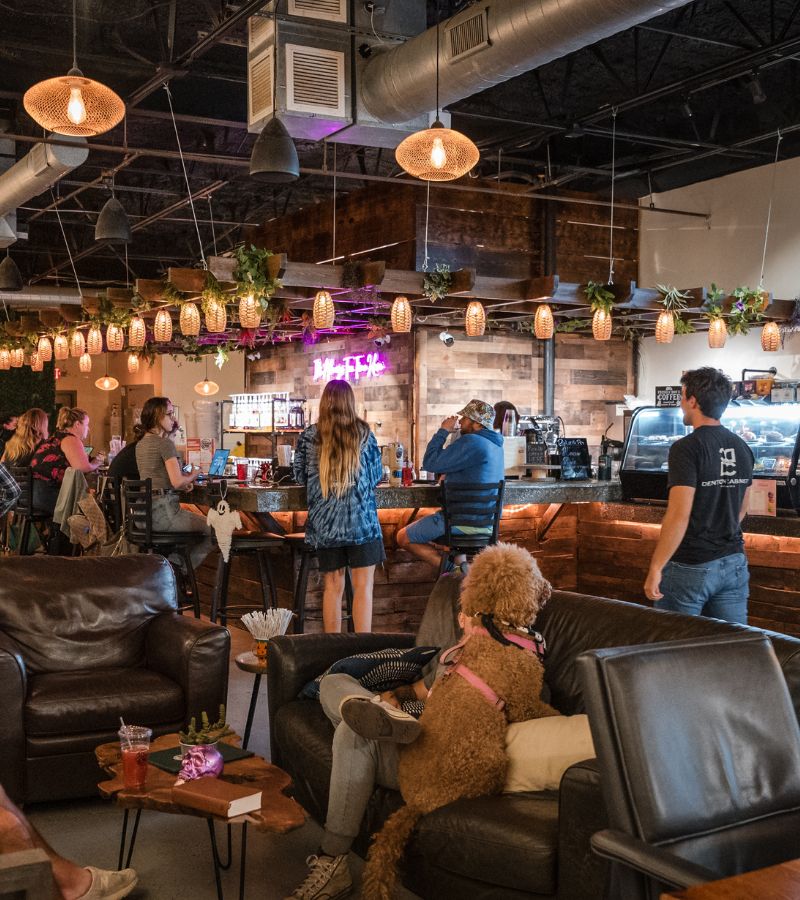 The Muddy Root Kava Cafe in St. Petersburg, FL (3)