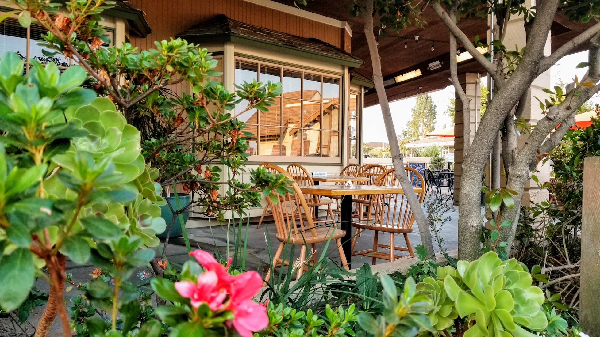 Country Gourmet in Sunnyvale, CA (4)