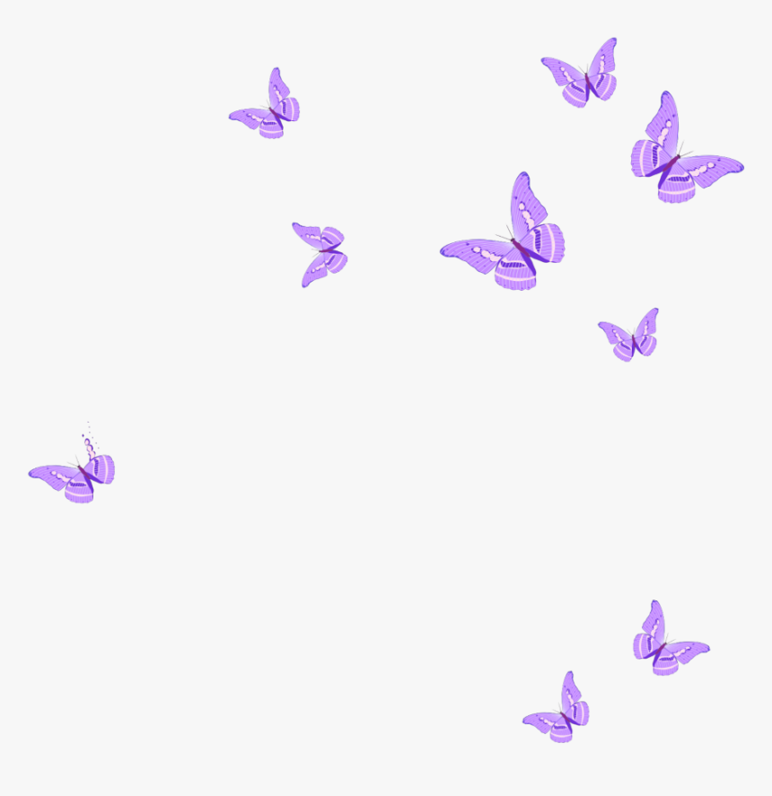 Butterfly Tax Solutions in Carrollton, GA (4)