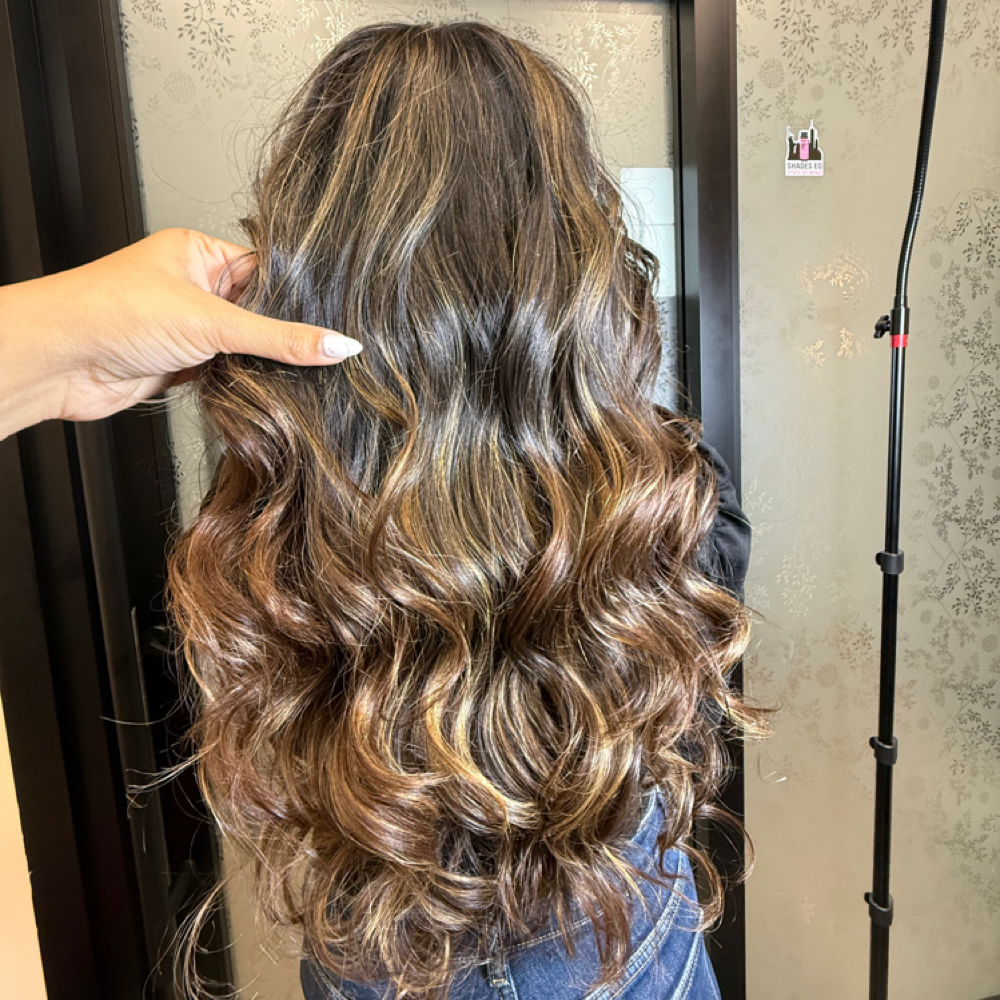 Shammi’s hair studio in Troy, MI